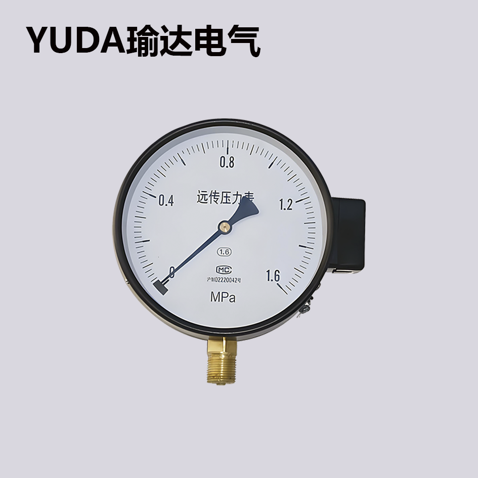 遠(yuǎn)傳壓力表
