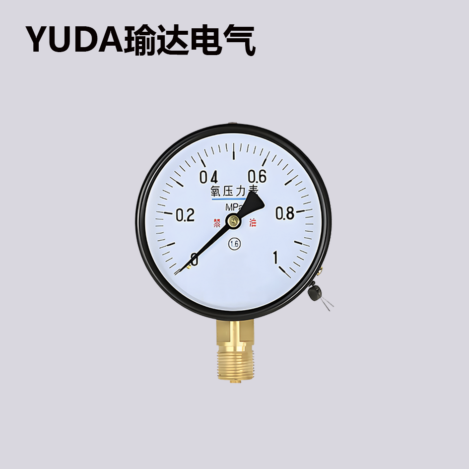 氧壓力表
