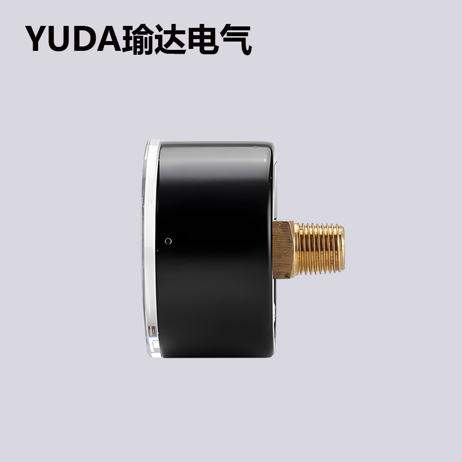 軸向壓力表（無(wú)邊）
